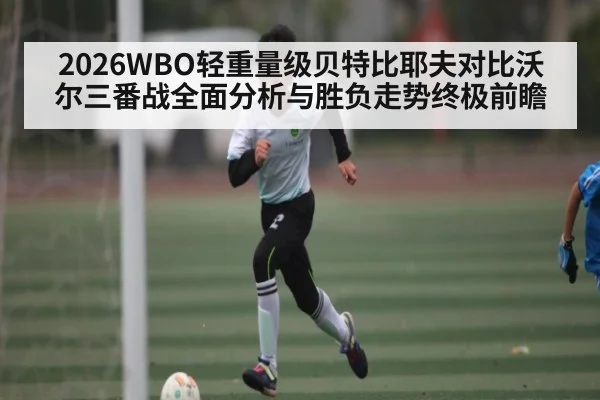 2026WBO轻重量级贝特比耶夫对比沃尔三番战全面分析与胜负走势终极前瞻